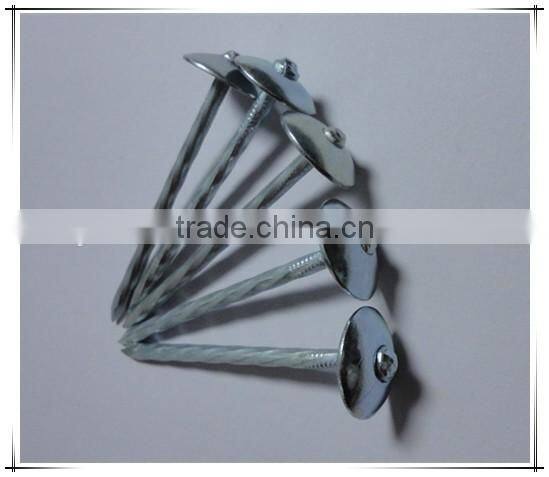 1"*11G Galvanized Umbrella Head Plain and Ring Shank Roofing Nail (factory)