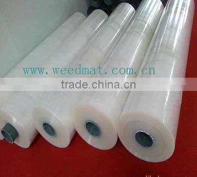greenhouses plastic cover