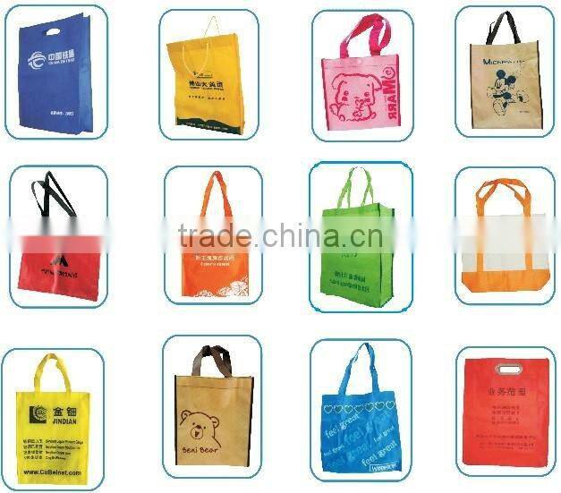 pp woven shopping and promotion bag