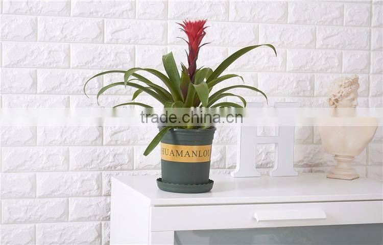 NEW Plastic Nursery 1 Gallon Trade POT