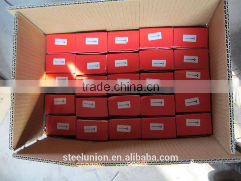 china roofing nails/roofing nails umbrella head/roofing nails cheap price