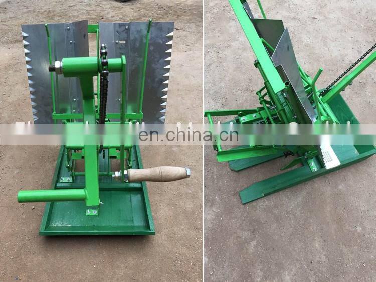 Portable Manual Thailand Rice Transplanter Sold in Malaysia