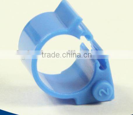 pigeon ring with card