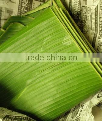 VIETNAM FRESH CAVENDISH BANANA