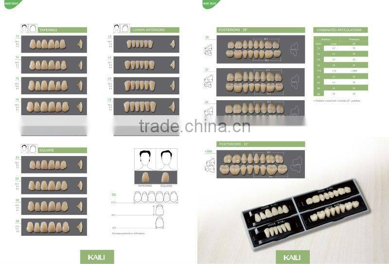 Synthetic Polymer teeth KAILI L10