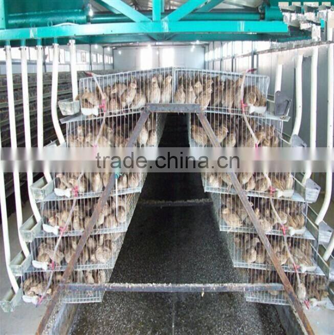 Galvanized battery quail cage for