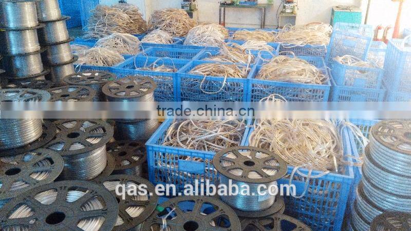 5050 30led/m 220v Flexible LED Strip CE ROHS 2years warranty