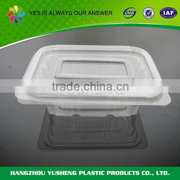 High quality PET material disposable food packaging box