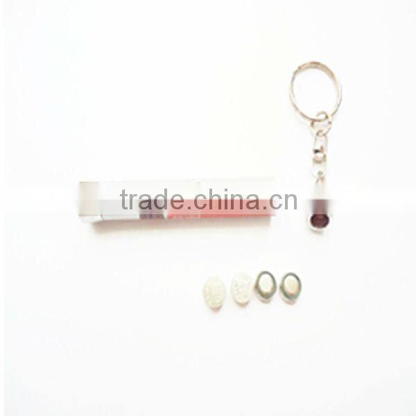 cheapest led flashlight with keychain,led projector keychain light