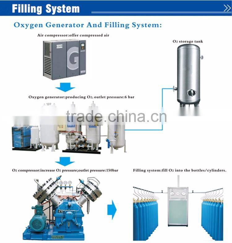 PSA Oxygen Generator by China Professional Supplier