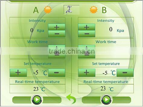 Higher quality fat freeze weight loss machine/Portable cryoipolyisis equipment