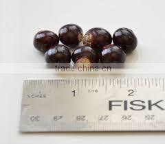 Soapnut Herbal product Exporter In Indian//Second Grade