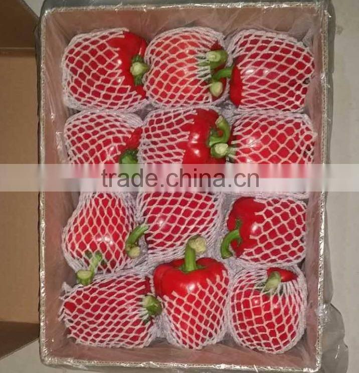 Hot sale sweet pepper/bell pepper/red bell pepper