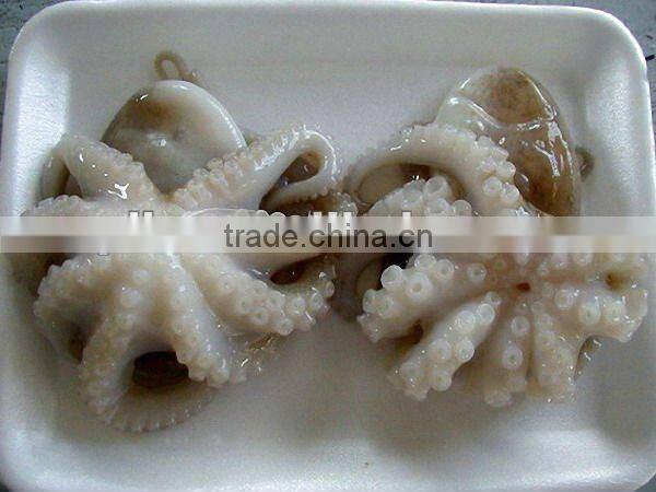 Fresh Frozen Baby Octopus