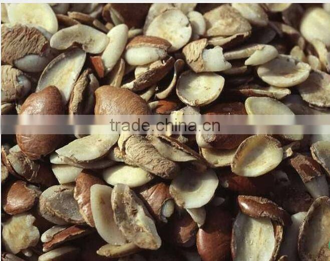 Natural Weight Loss African Mango Seed Extract