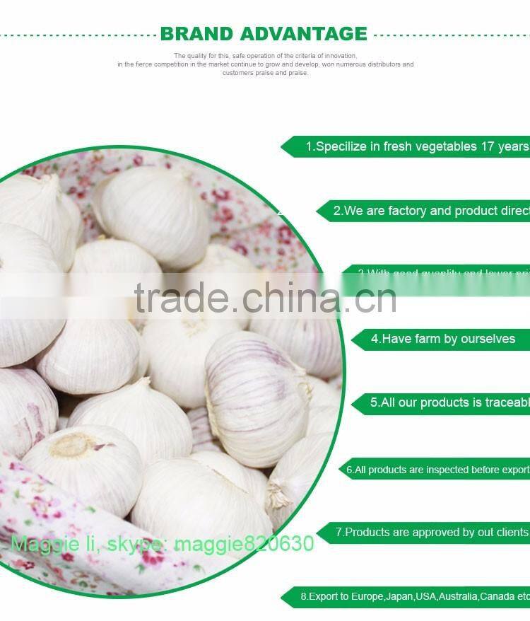 Good price of single clove garlic packing with ISO9001 certificate