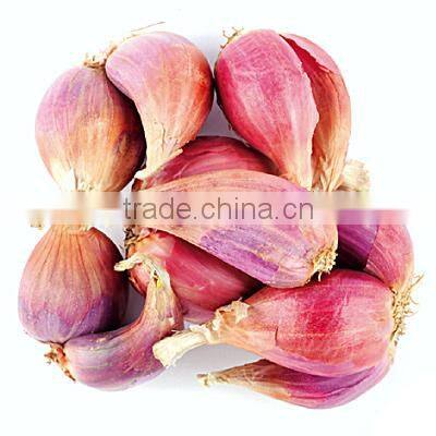 New Style Automatic Electric Normal Garlic Shallot Skin Removing Peeler Peeling Machine