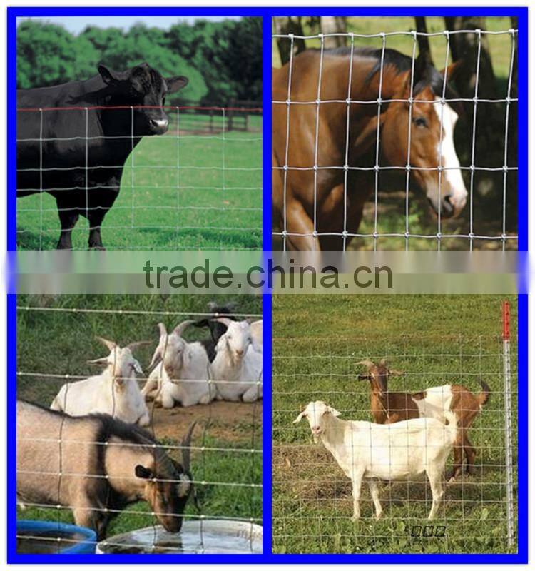Good quality fixed knot wire mesh field fence