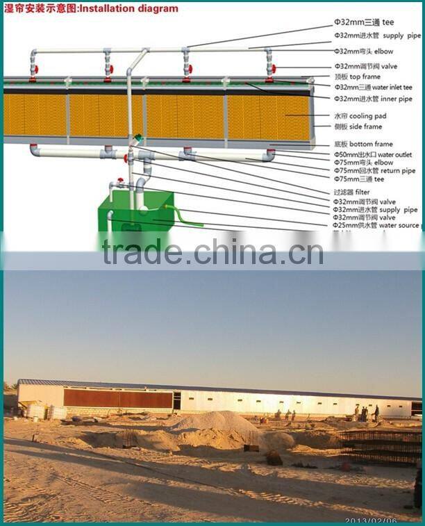 Factory price automatic modern chicken farm for poultry houses