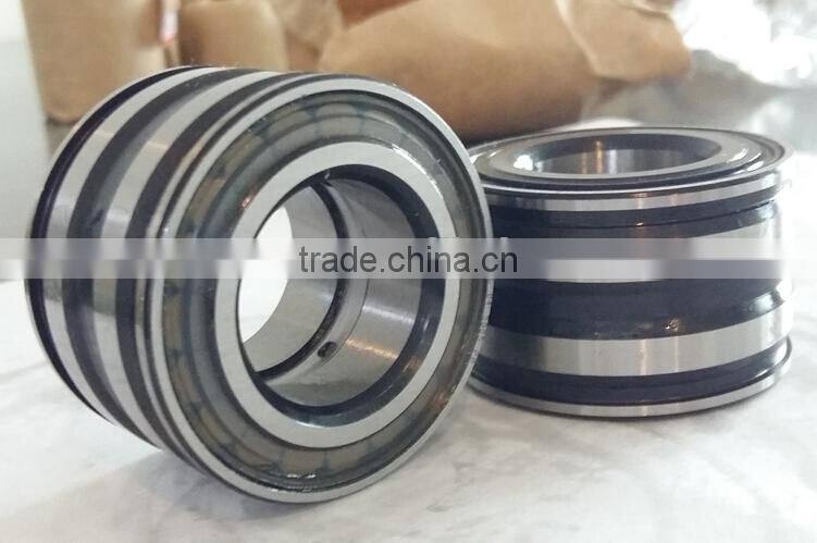 Doule Row Cylindrical Roller Bearing SL04 5010PP