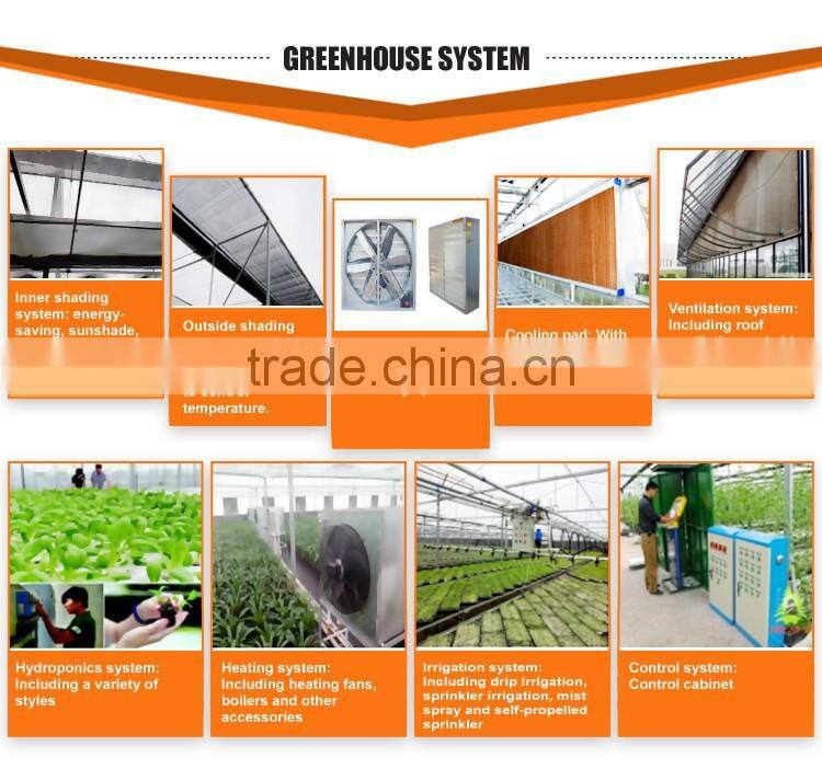 Garden greenhouse glass greenhouse with seed bed made in China