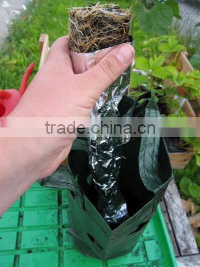 Hanging planting bags,Hanging Flower Pouches,Hanging Plant Bag