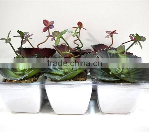 SJLJ013383 artificial succulent plants for wall / wedding / hotel decoration