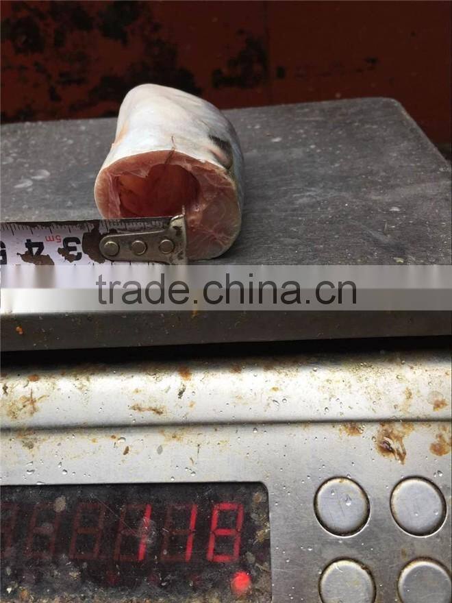 Top grade pacific mackerel HGT 80-100g