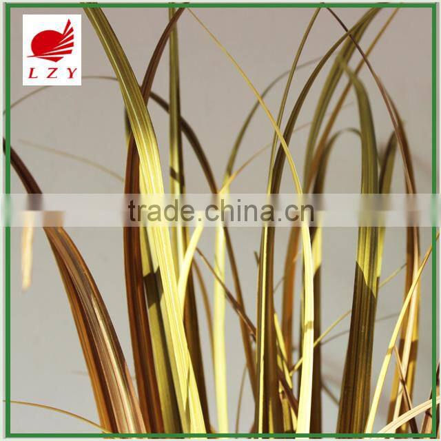 New Arrival Home Decoration Onion Grass