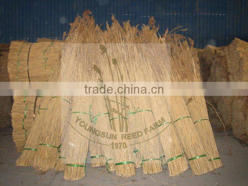water reed for roof thatching