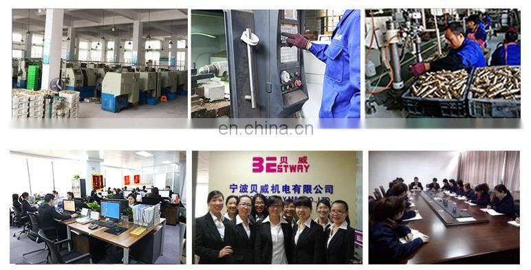 Lead Free Brass Pipe Fittings with ISO Certification