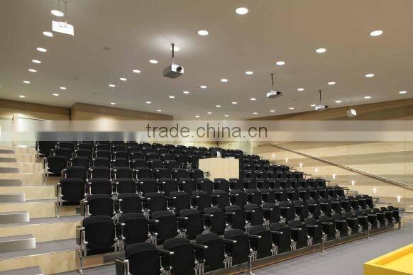 Economic hot selling led downlight flat