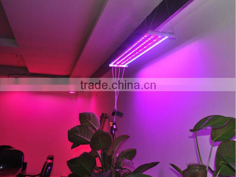 300 leds/m plant grow LED light strip DC12/24V