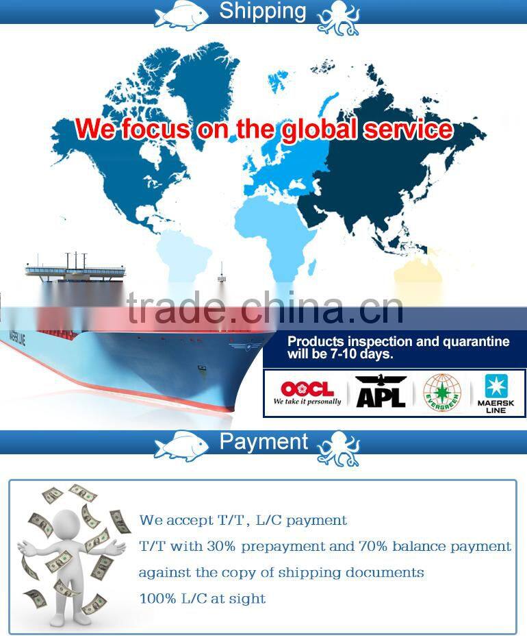 Frozen canned mackerel fish in brine 425g