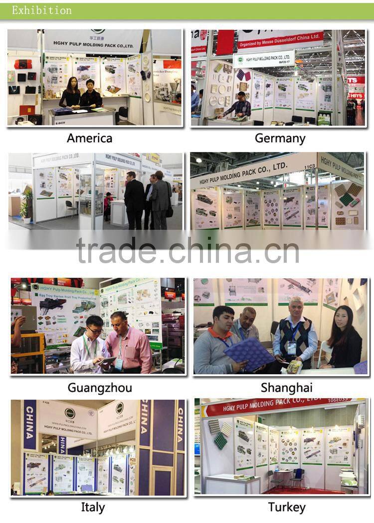 industrial packing pulp molding machine