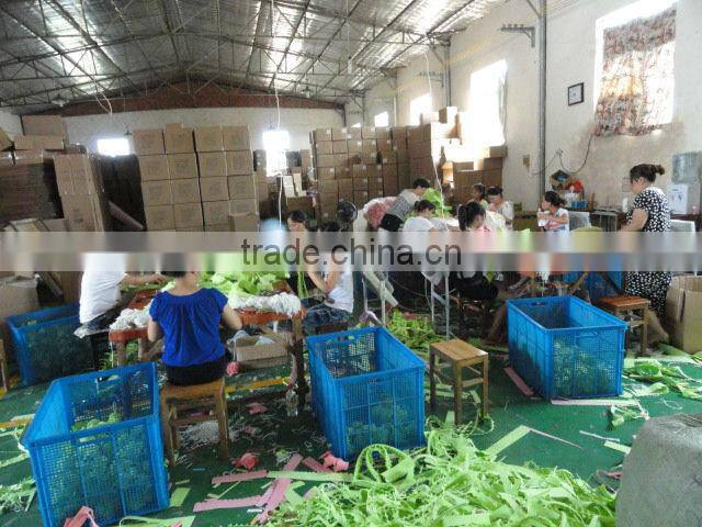 Latest Hot Selling Magic Cleaning Sponge