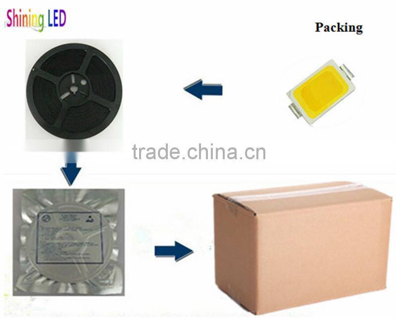 0.1Watt Natural White CCT 4000-4500K >80CRI 3014 Specifications SMD LED for Panel Light