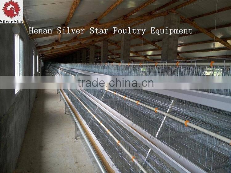 3 tier design A type ladder layer cages for chickens with scarpper manure removal system