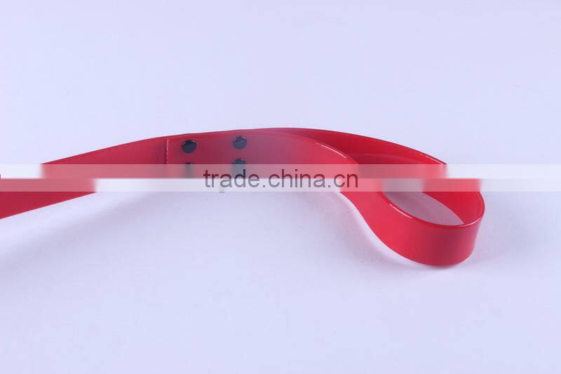 Handmade pet collar and leash webbing