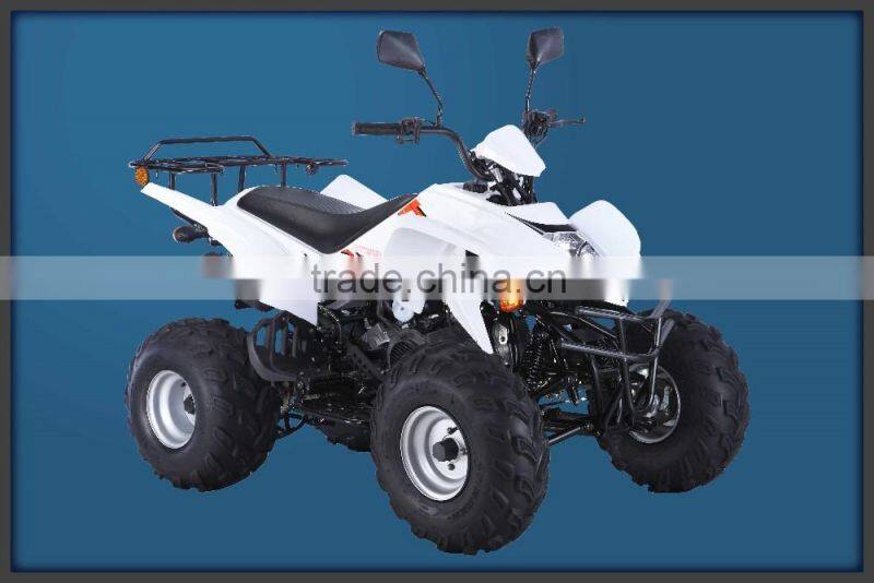 High quality beach buggy racing mountain buggy