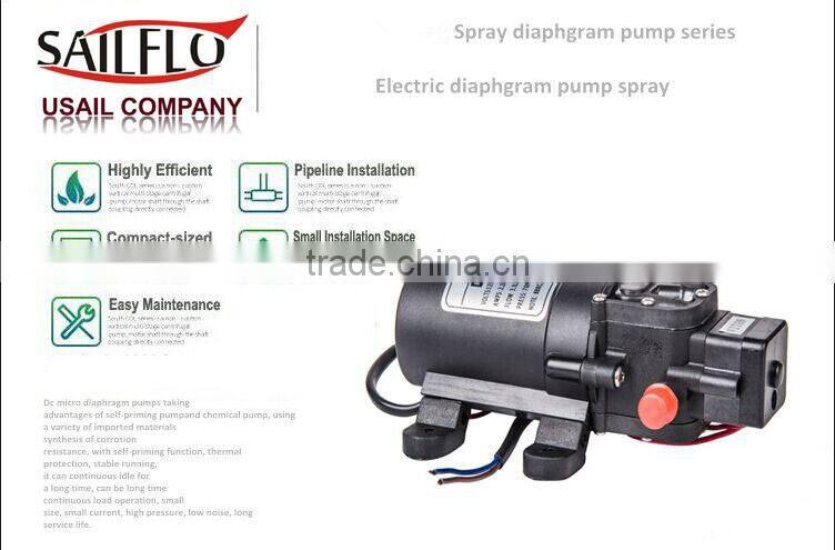 Sailflo DC 80PSI 4LPM 12V/24V Auto High Pressure Mini Garden Water Pump