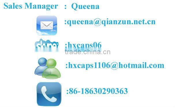 2013 Fashion custom embroidered flat brim trucker hat