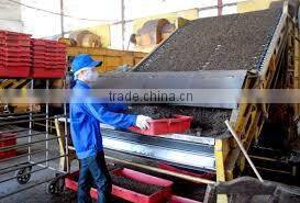 High quality green tea