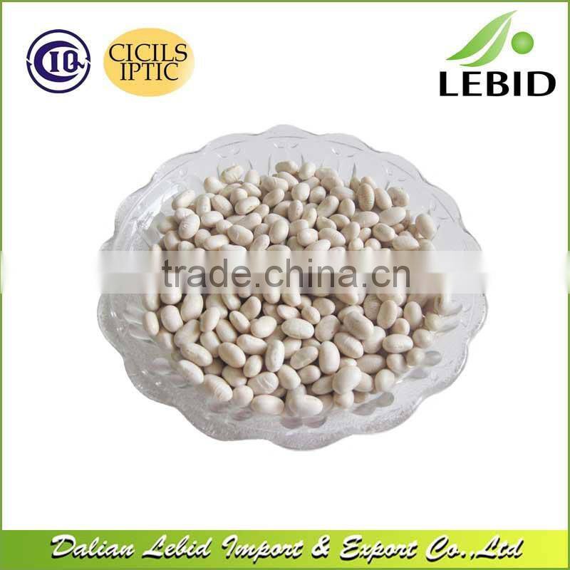 Heilongjiang Origin Japanese Type White Kidney Beans Low Price