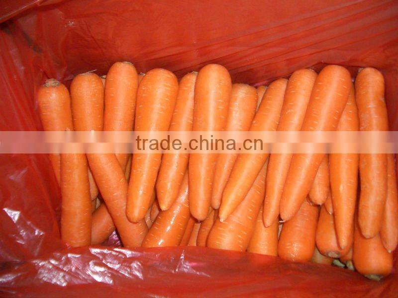 good quality fresh carrot