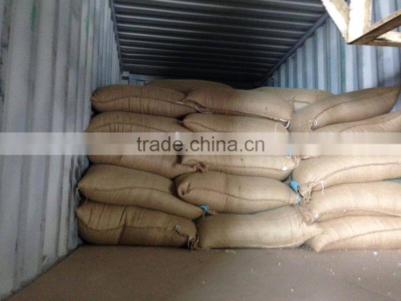 VIETNAM WET POLISHED ROBUSTA COFFEE BEANS S16(+841657106604 - WHATSAPP)