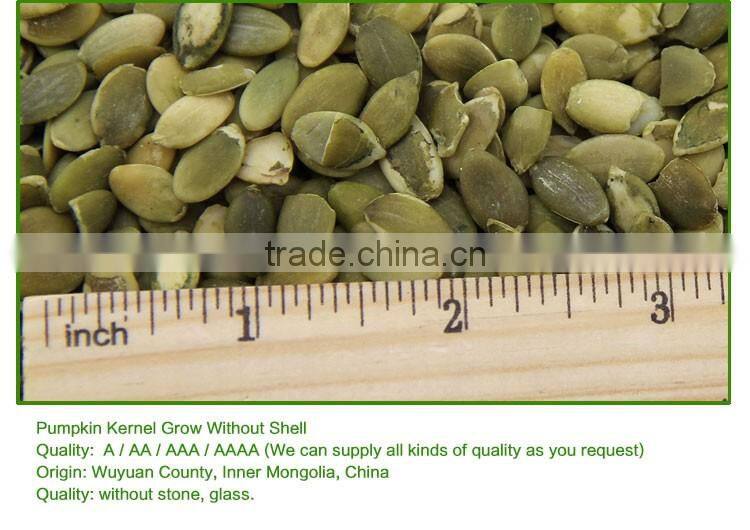 common style pumpkin kernels shine skin