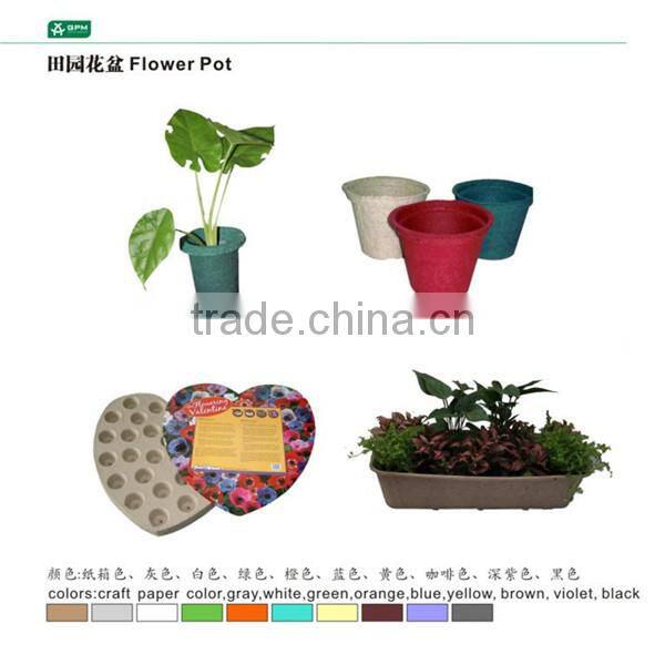 12 cell cardboard egg cartons wholesale
