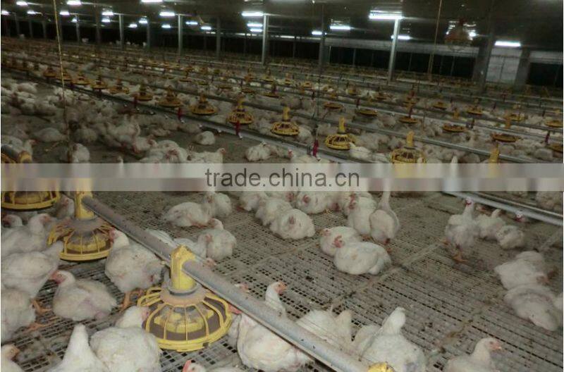 Broiler Feeder Broiler Pan Feeding System