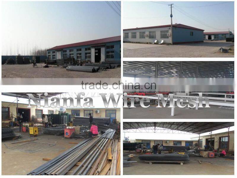 Trade Assurance Alibaba China PVC sprayed and Galvanized Welded Wire Fence Panels